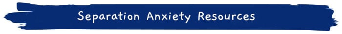 separation anxiety resources